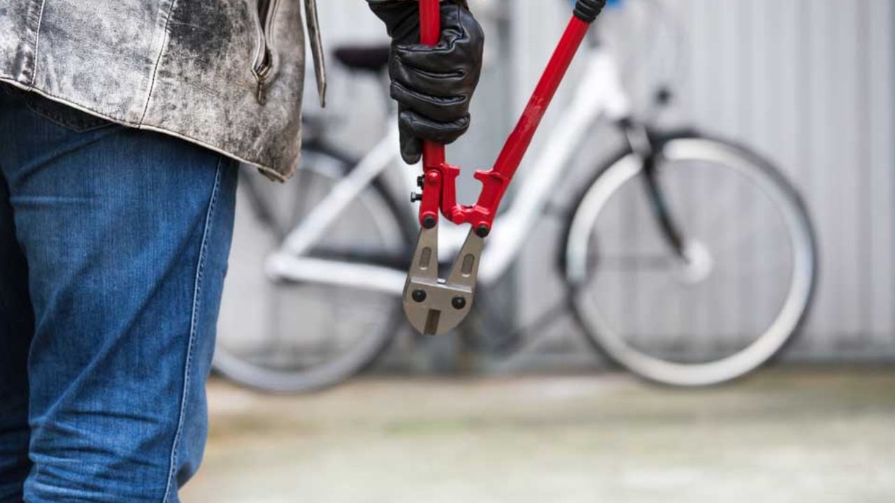 Embracing Electric Mobility: Exploring Electric Bicycles and Electric Motorcycles