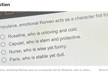 Why it is Worthwhile Choosing Gauth for Literature Queries?